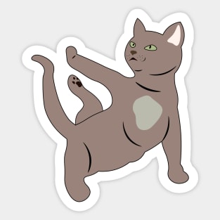 Cat Kitten Yoga Funny Sticker